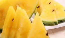 免费吃瓜哪里,带你探索网络娱乐新趋势